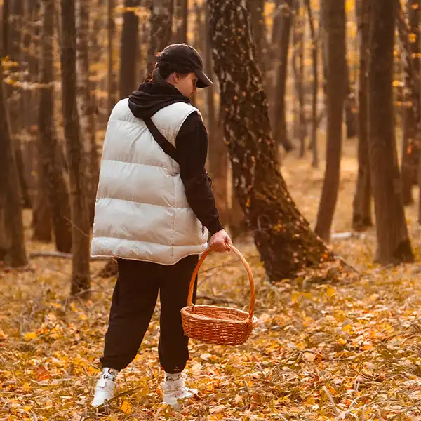 Tartufi - sezona pronalaska tartufa